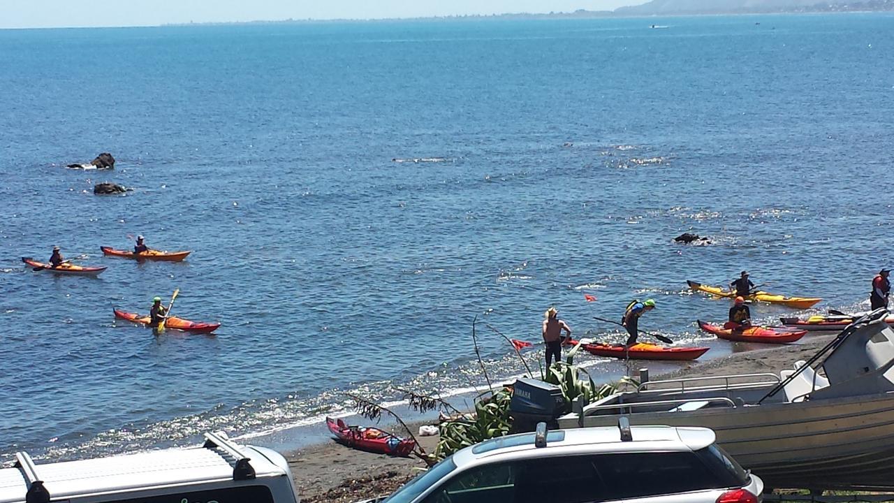 Kapiti Waves Bed & Breakfast Pukerua Bay エクステリア 写真