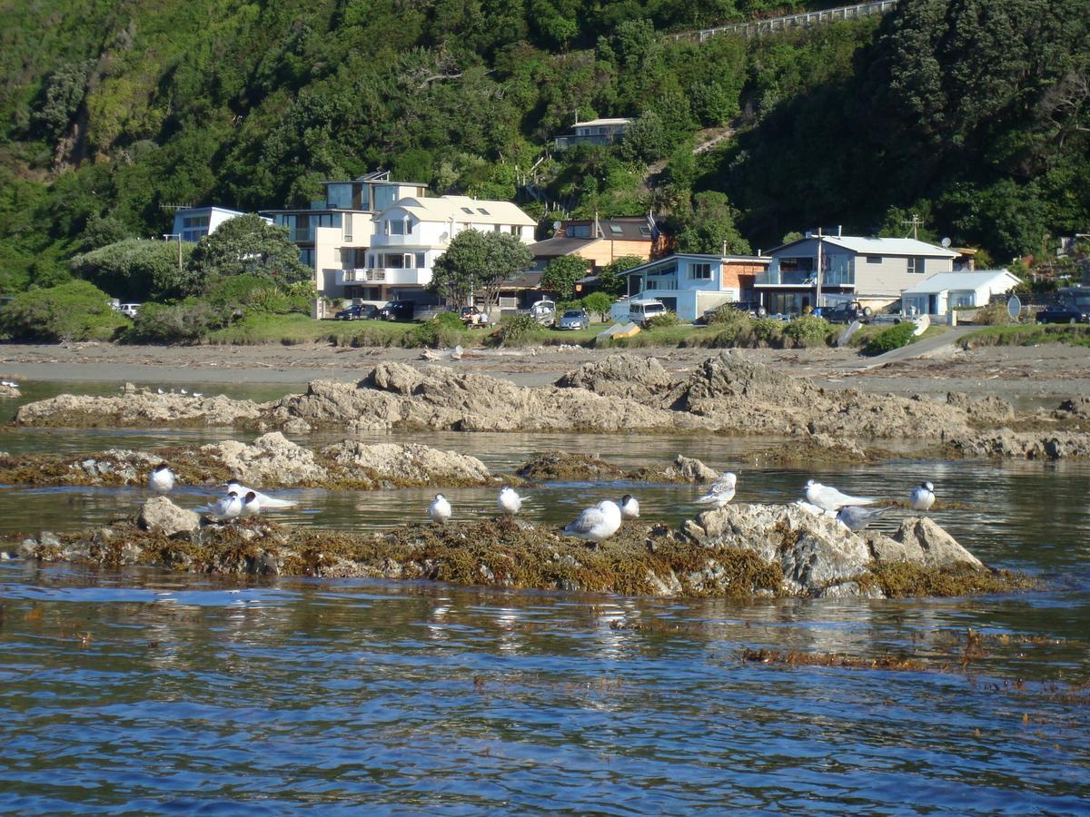Kapiti Waves Bed & Breakfast Pukerua Bay エクステリア 写真